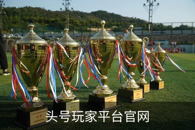 头号玩家平台官网公司介绍